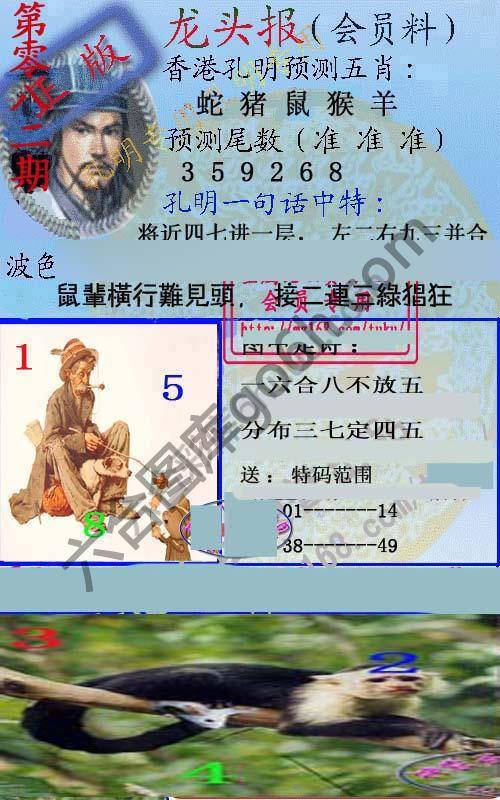 龙头报