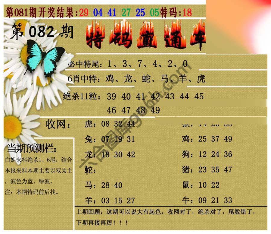 特码直通车