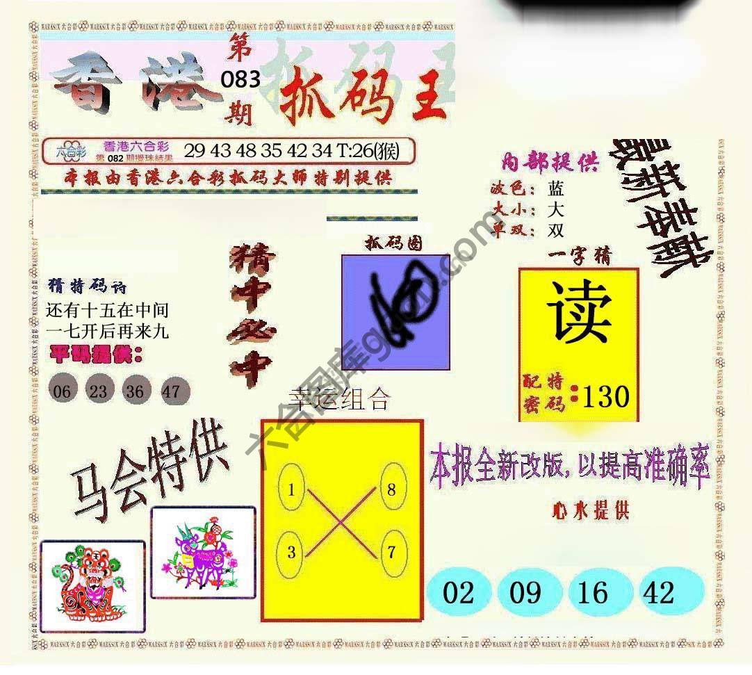 新抓码王