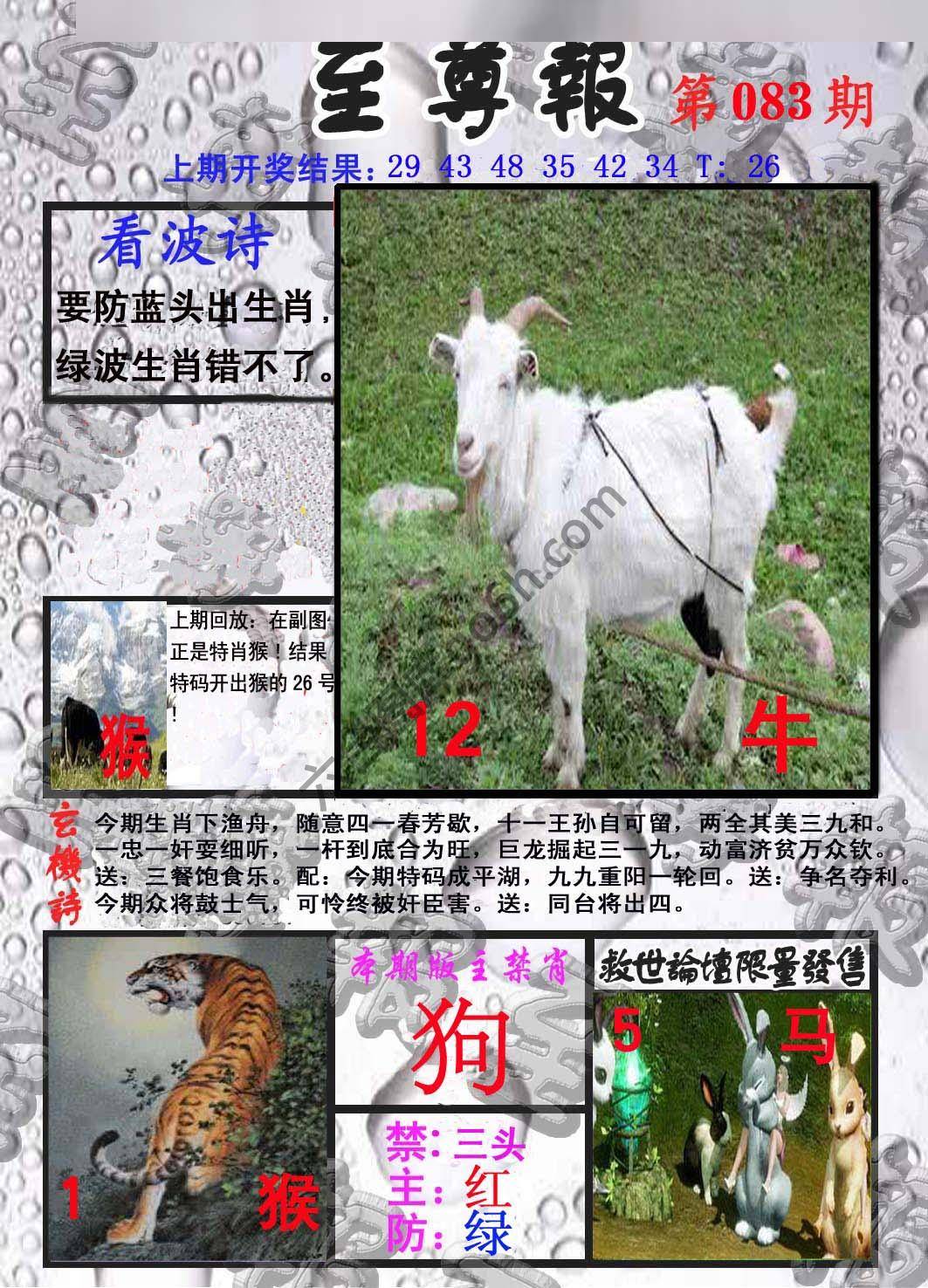 至尊报
