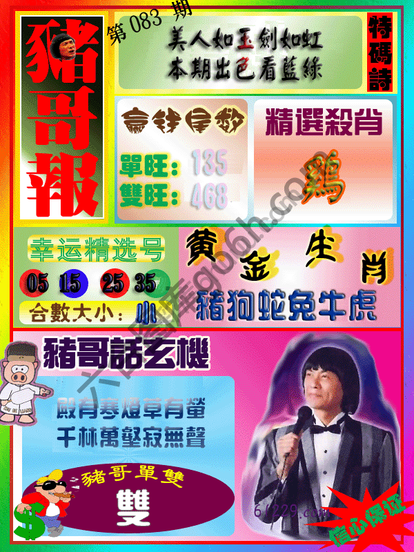 猪哥报