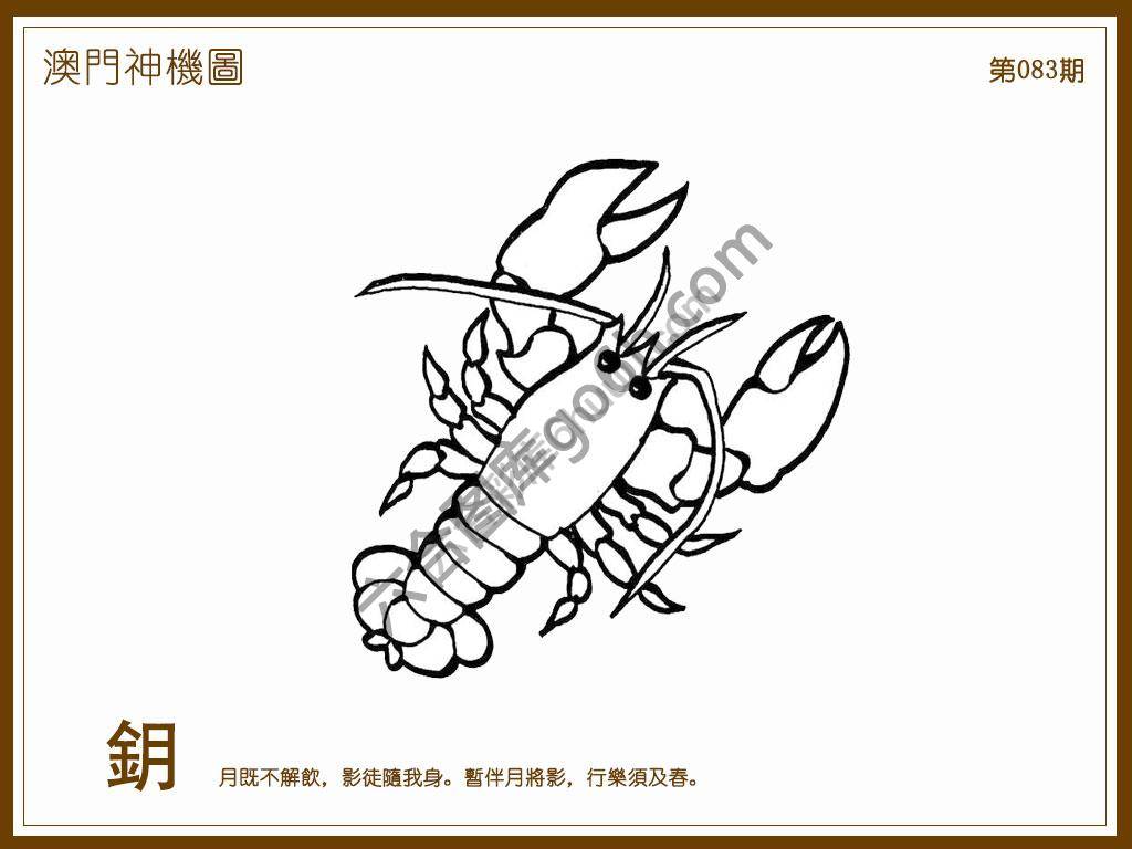 澳门神机图
