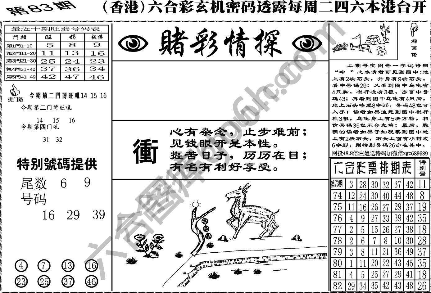 赌彩情探