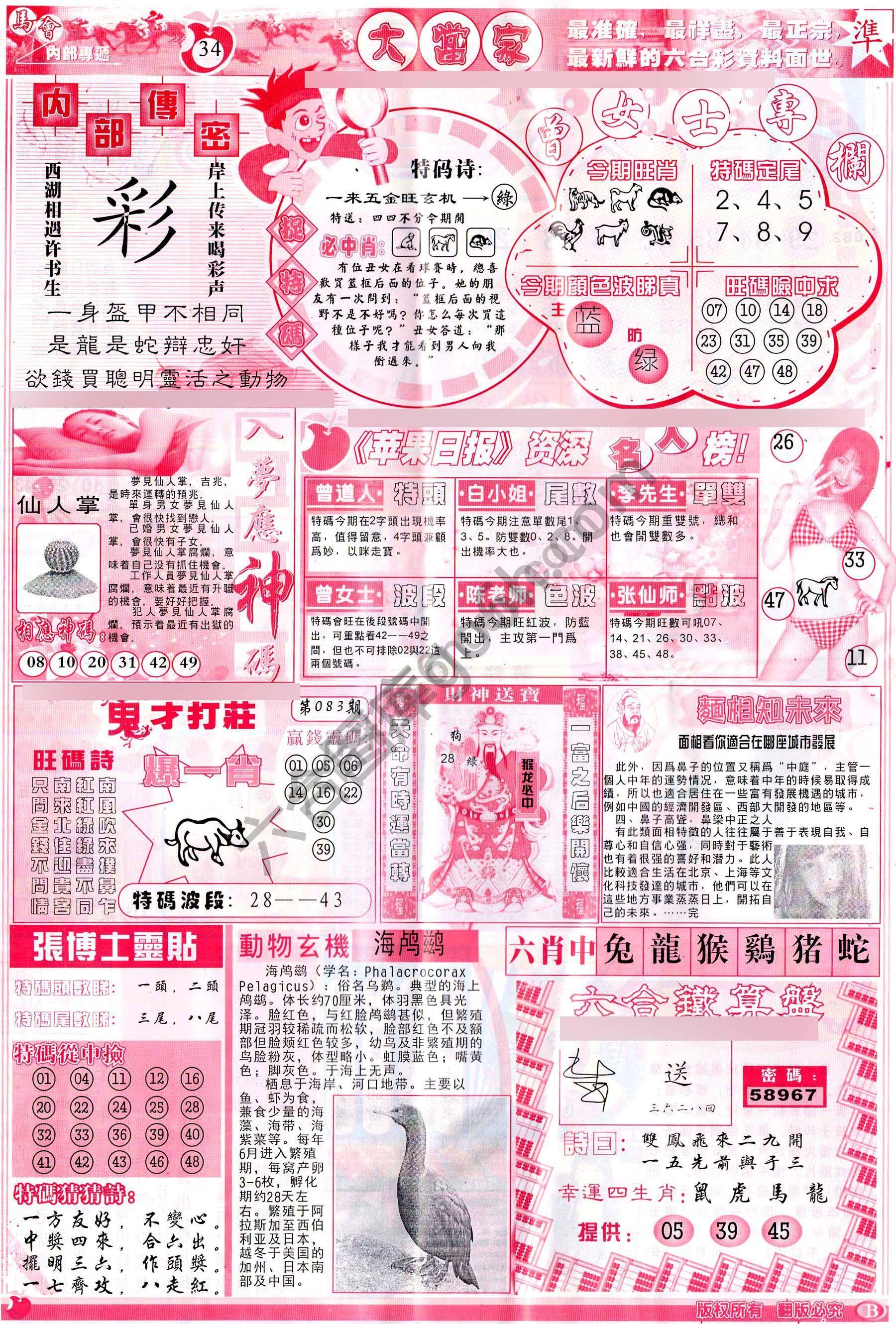 大当家