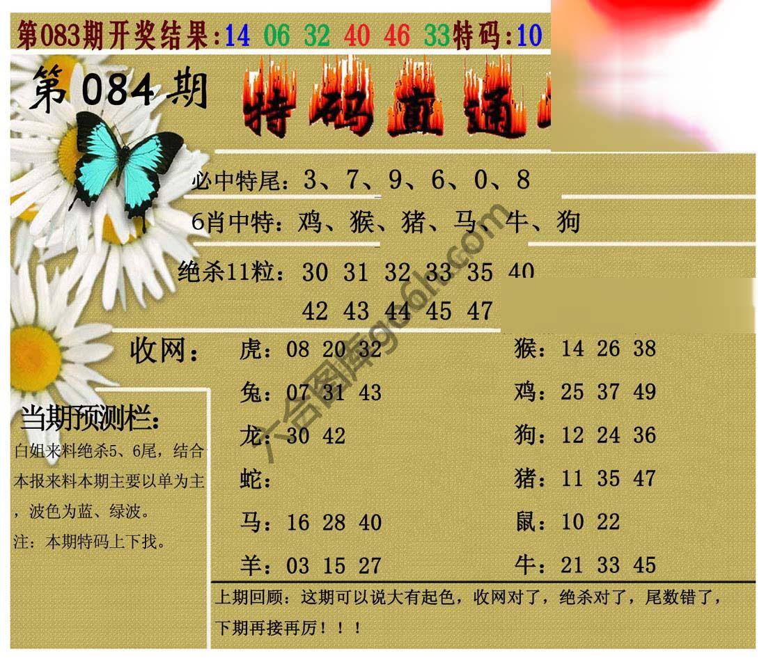 特码直通车