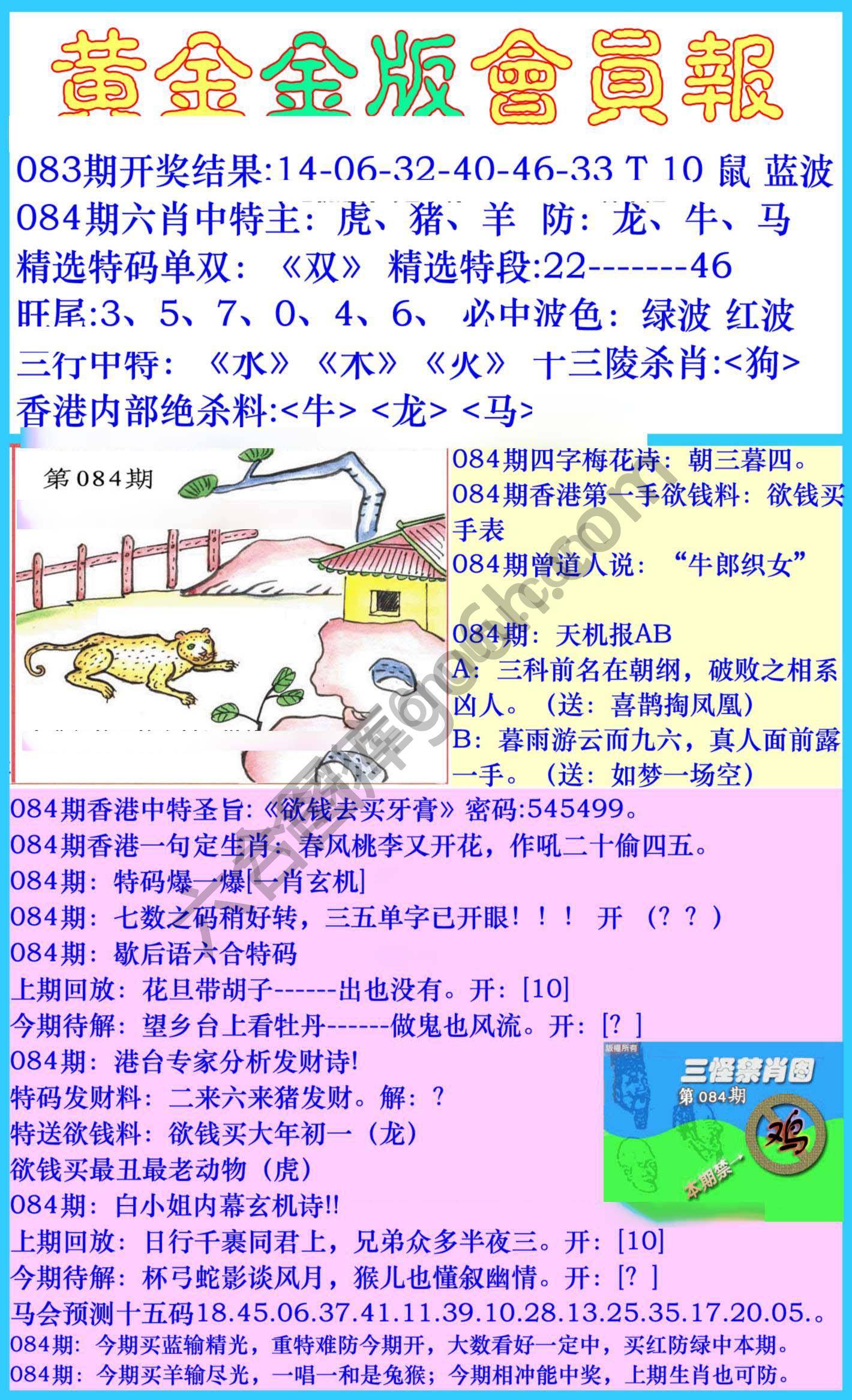 黄金金版会员报