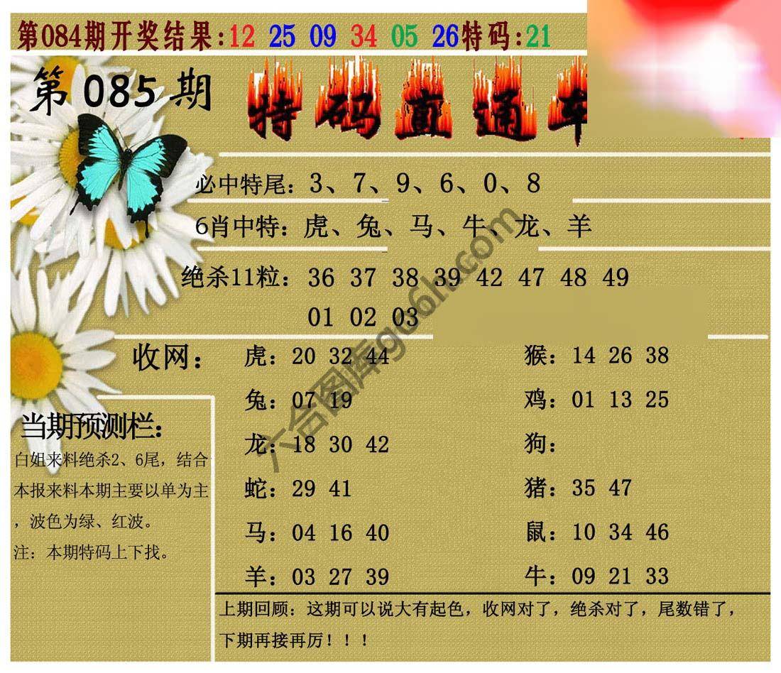 特码直通车
