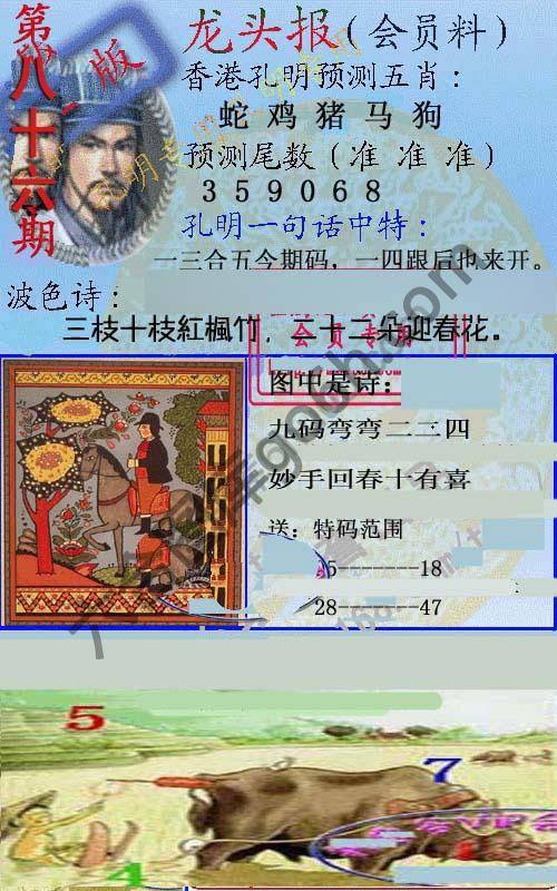 龙头报