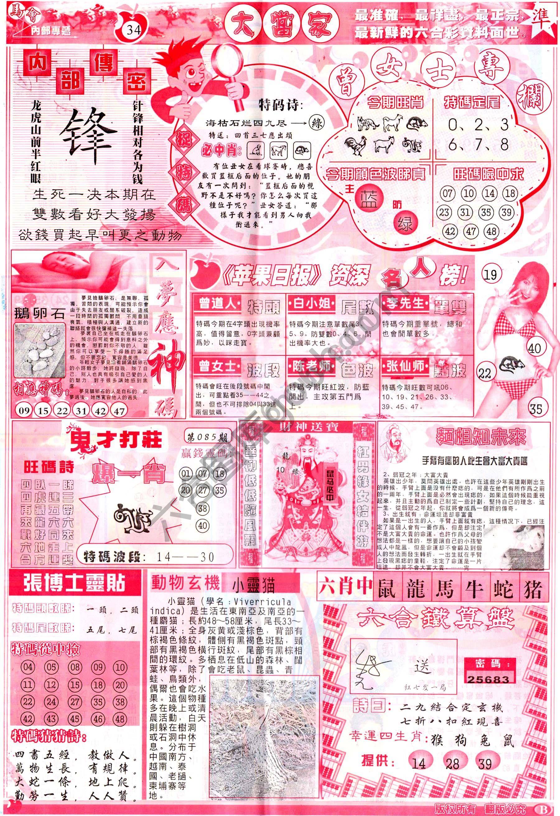 大当家