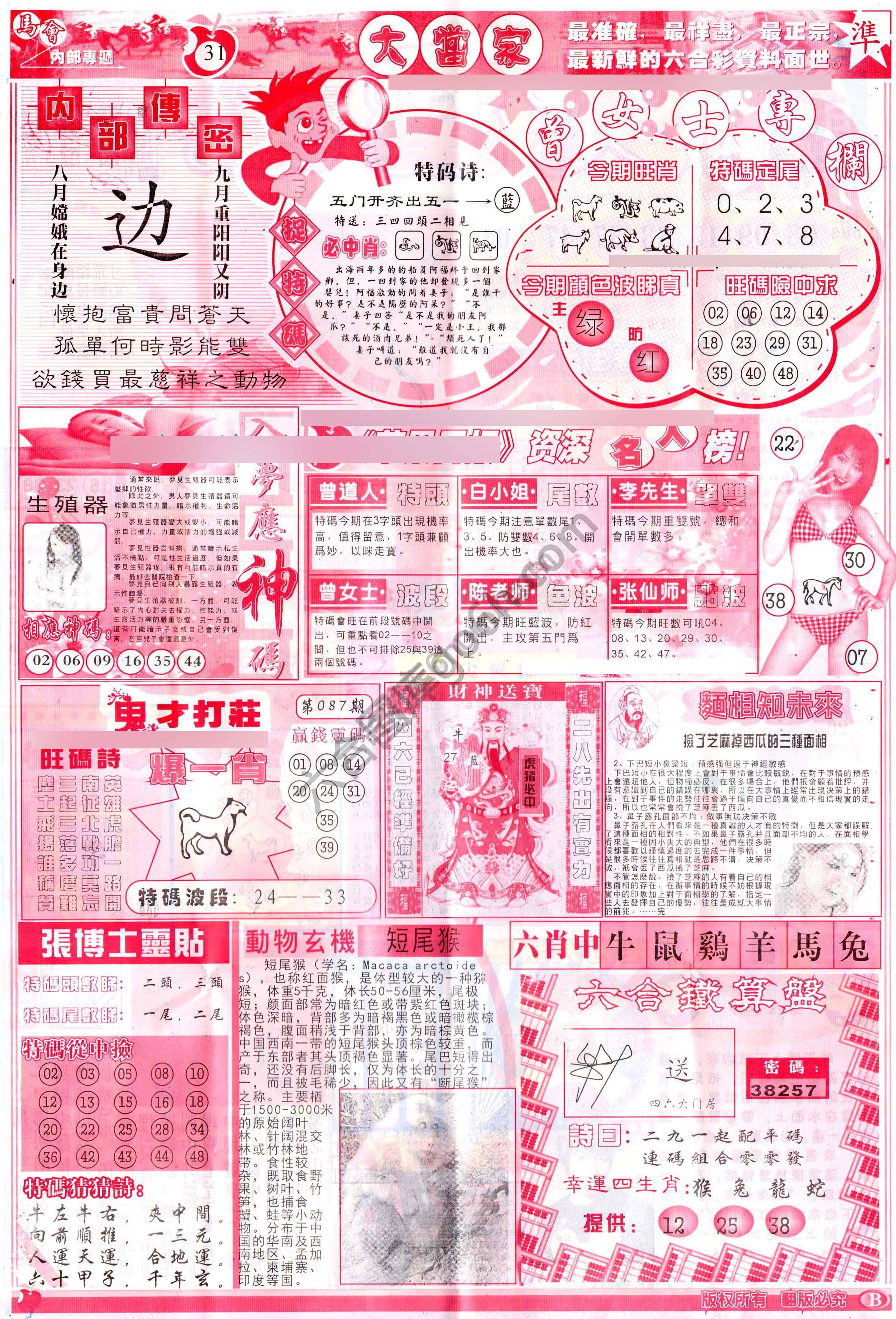 大当家