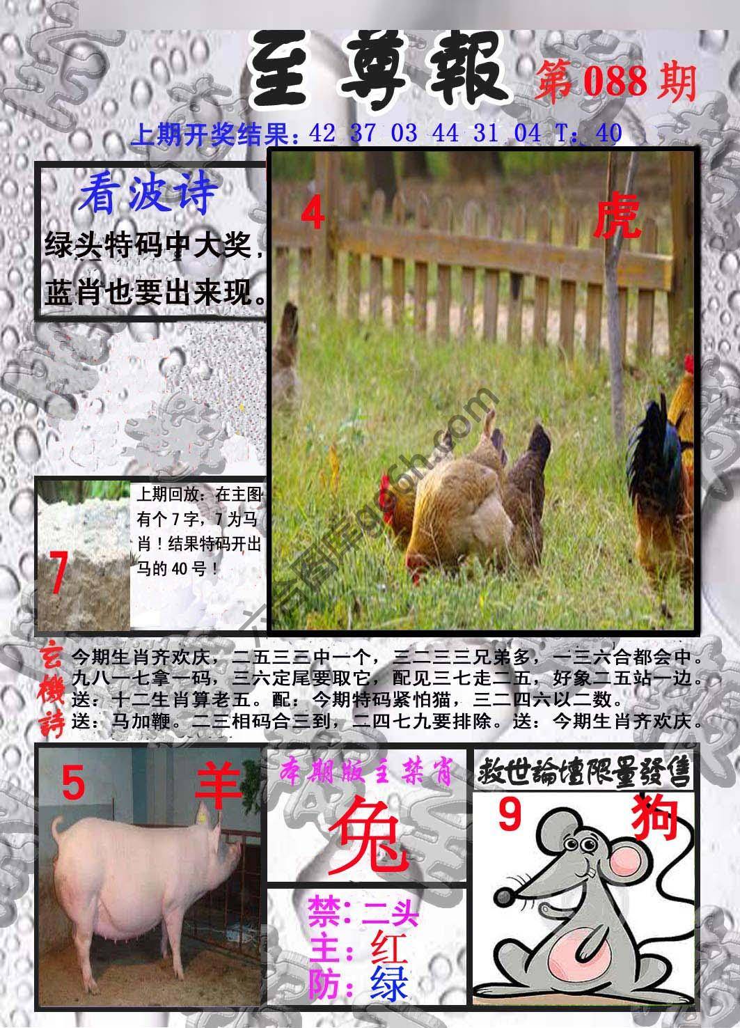 至尊报