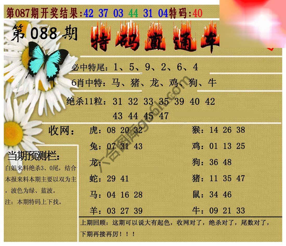 特码直通车