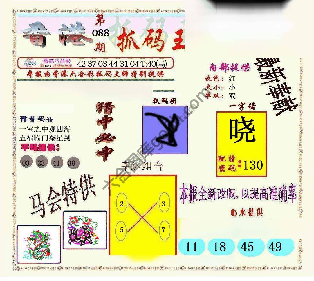 新抓码王