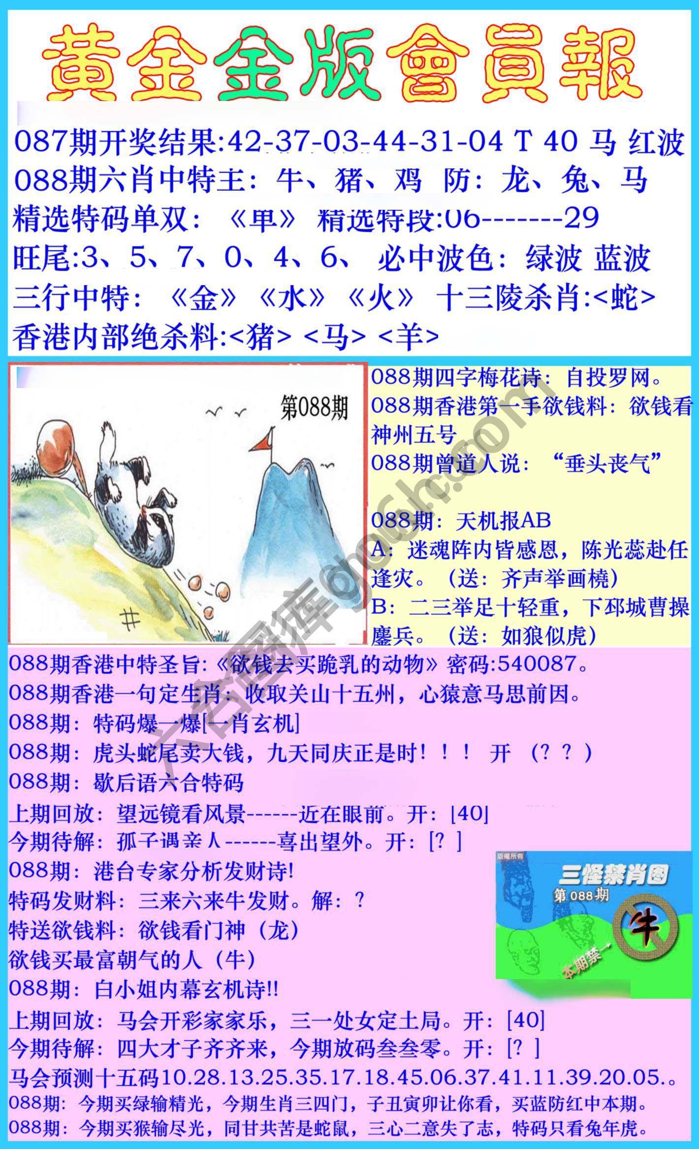 黄金金版会员报