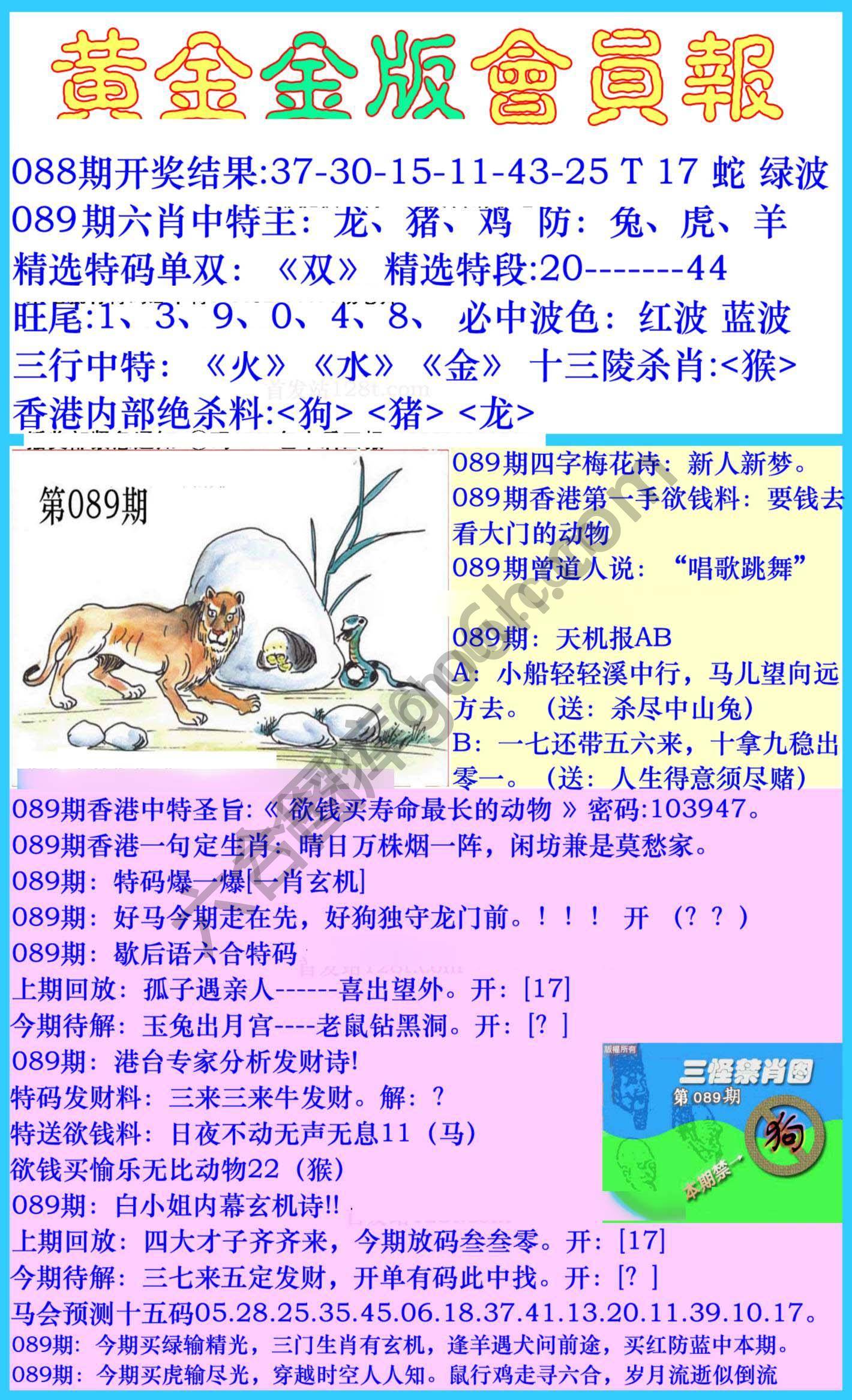 黄金金版会员报