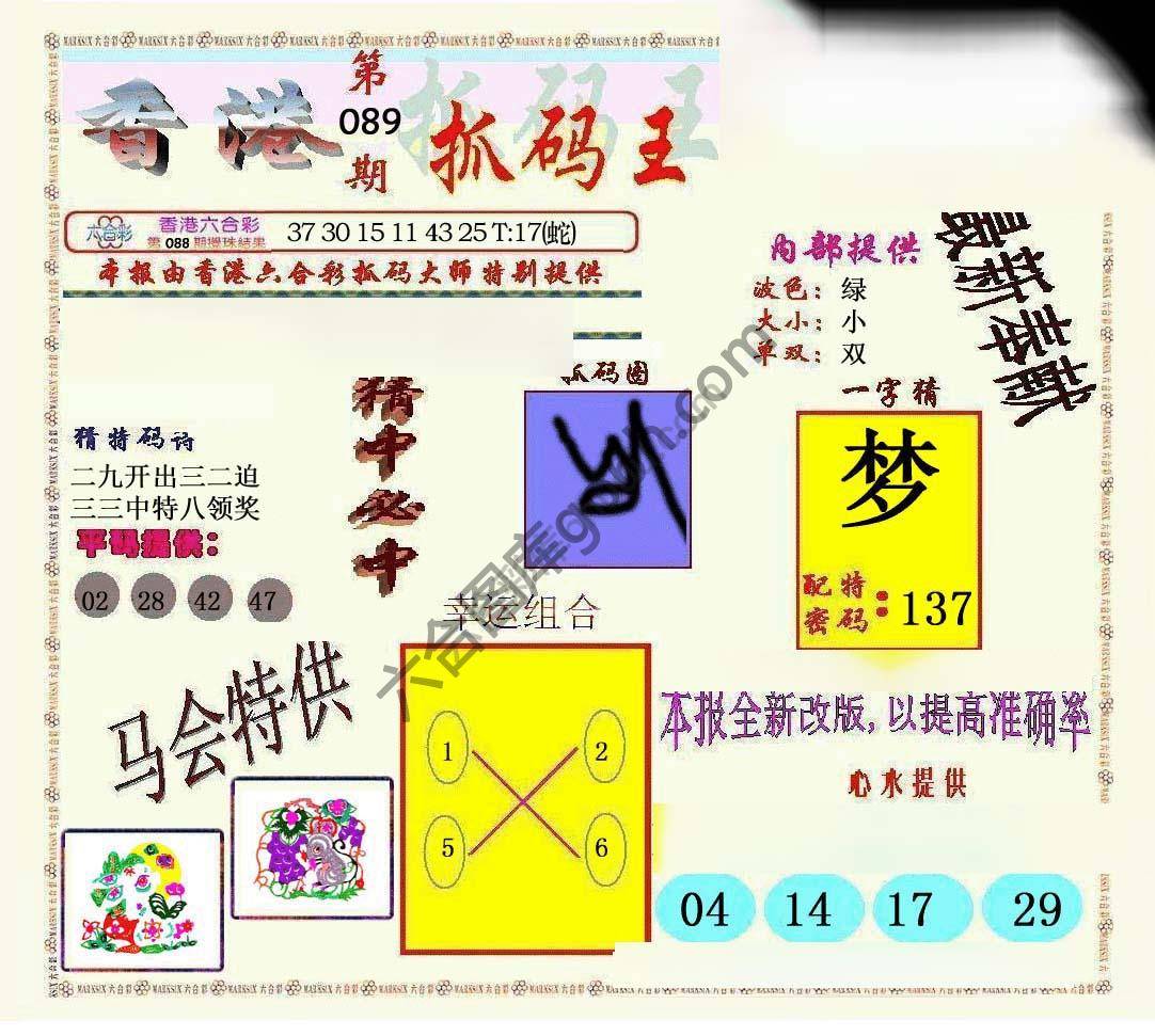 新抓码王