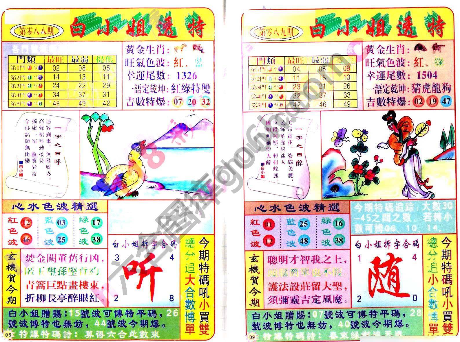 白小姐透特