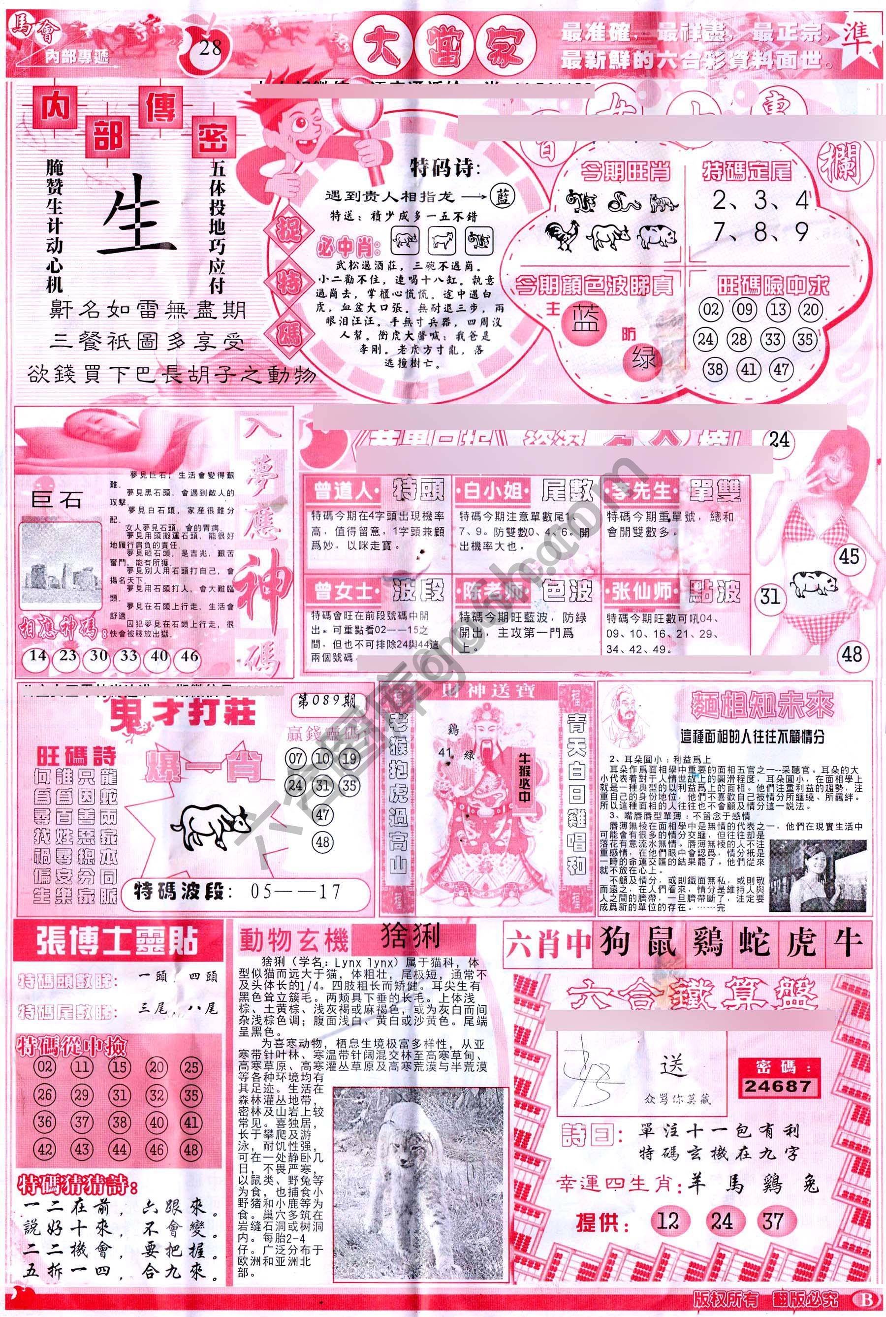 大当家