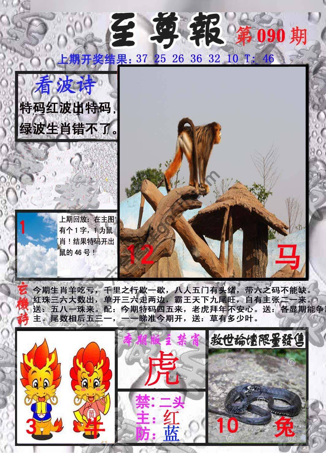 至尊报