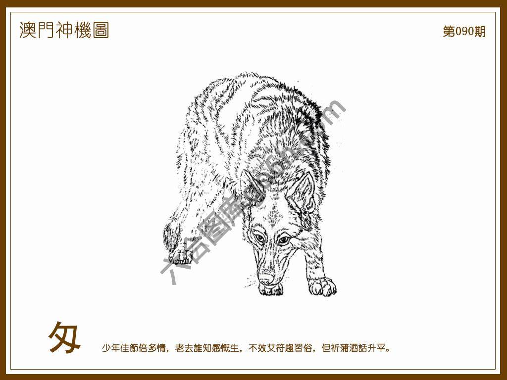 澳门神机图