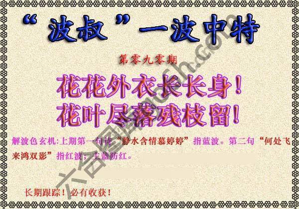 波叔一波中特
