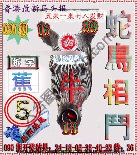 香港马头报