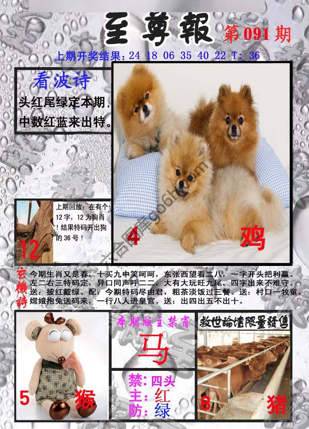 至尊报