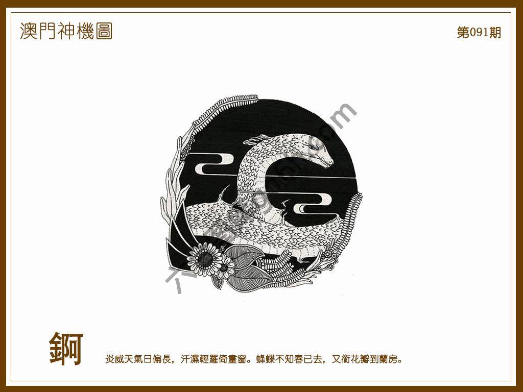 澳门神机图
