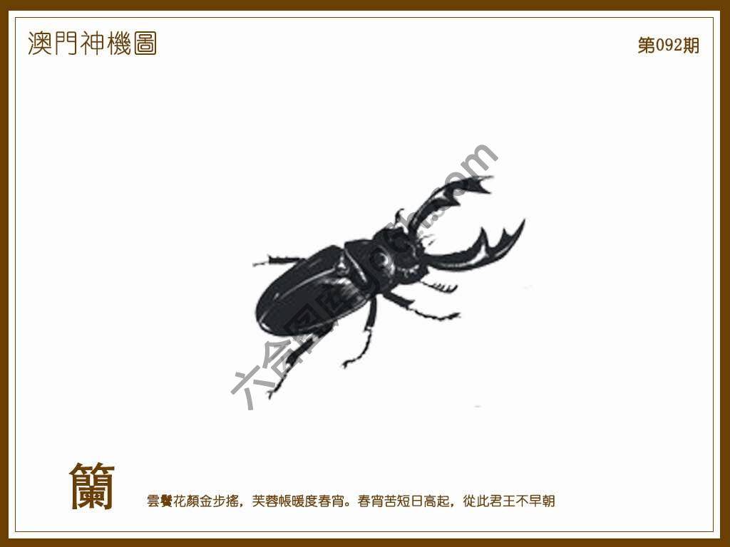 澳门神机图
