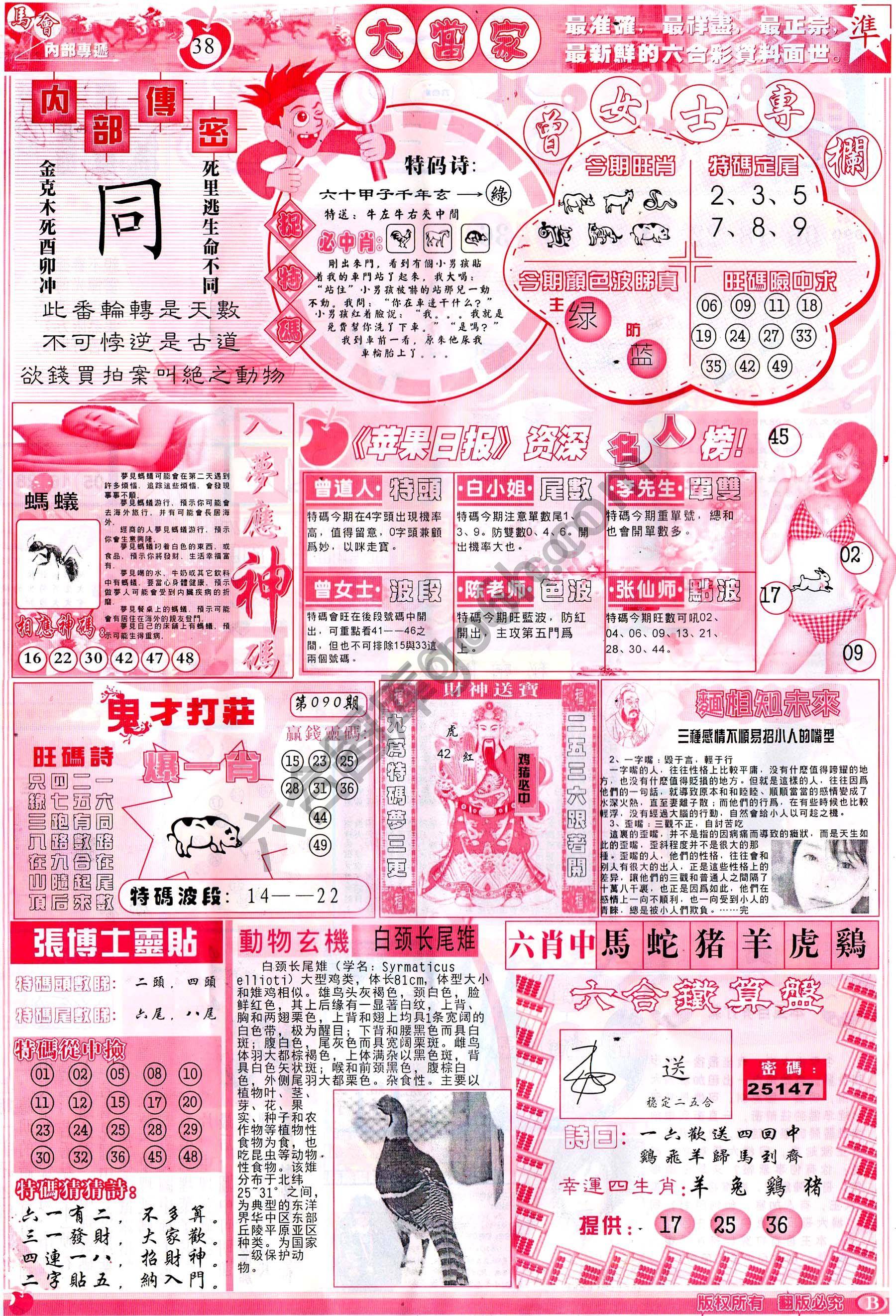 大当家