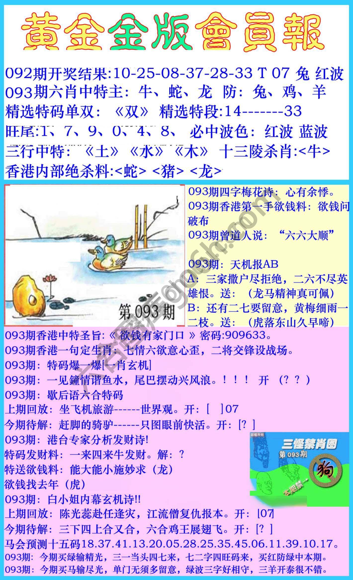 黄金金版会员报