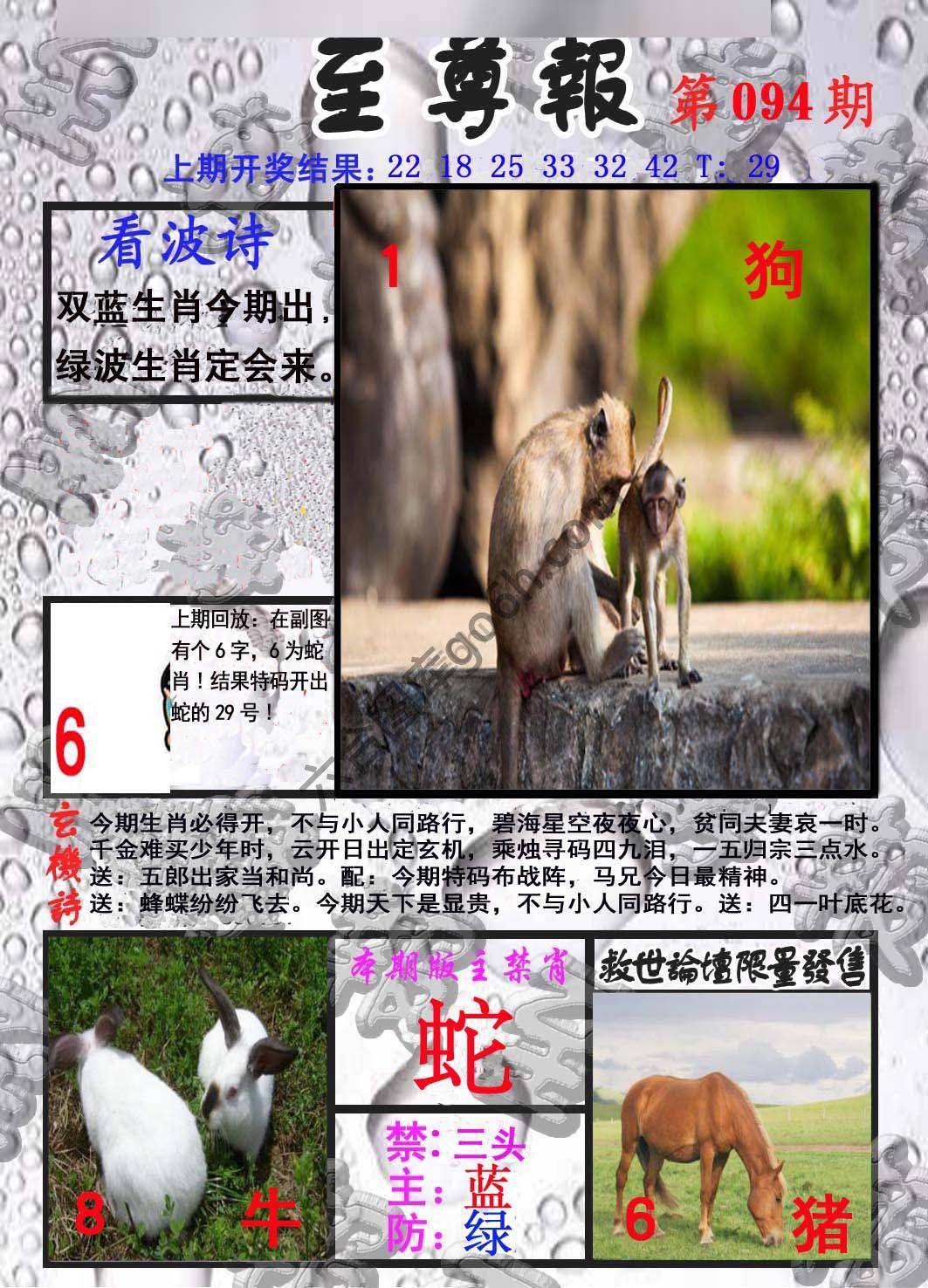 至尊报