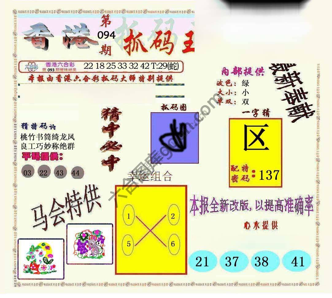 新抓码王