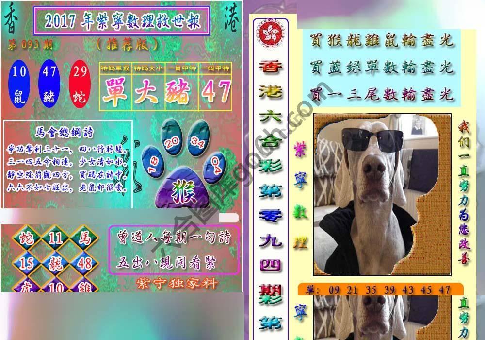 数理救世报