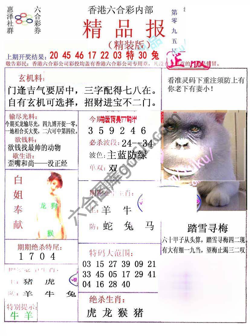 新精品报