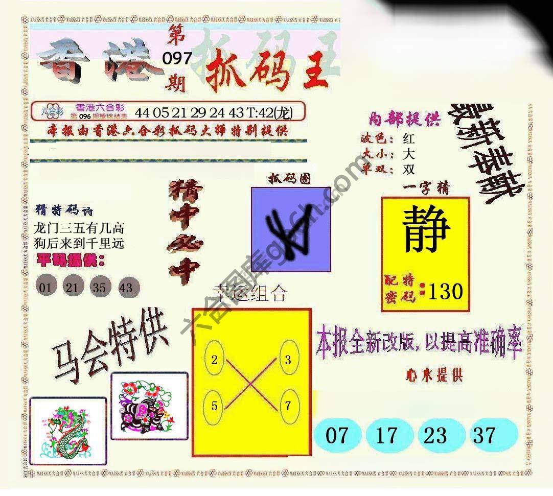 新抓码王