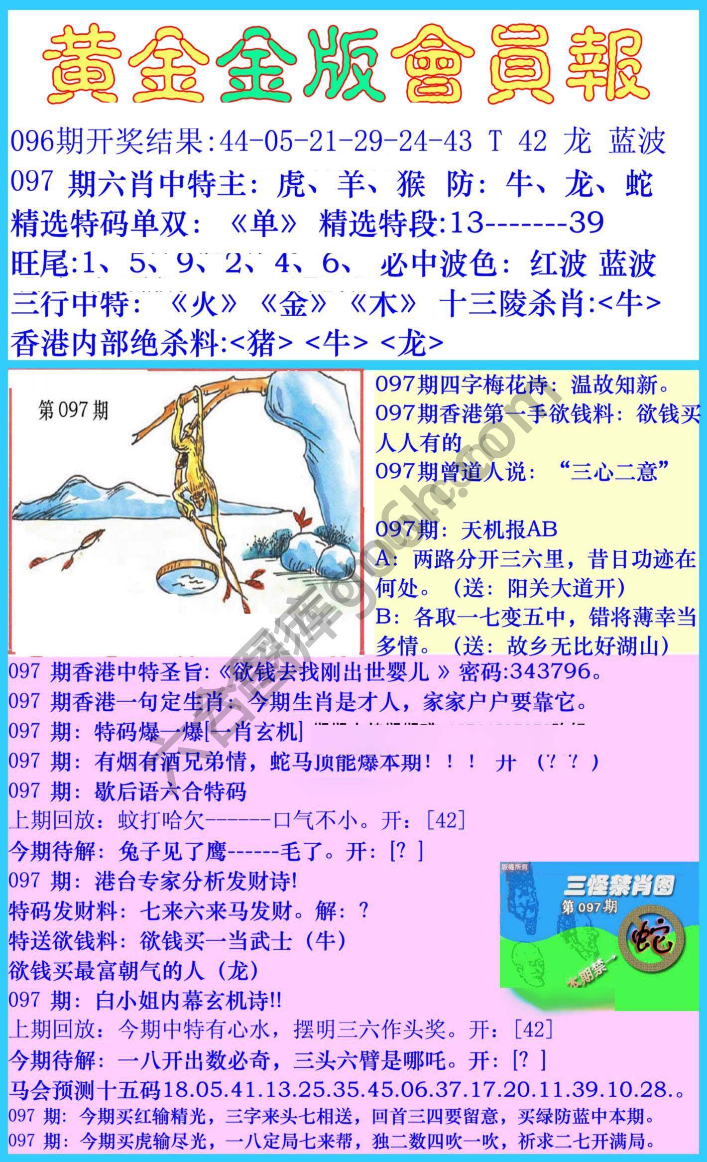 黄金金版会员报