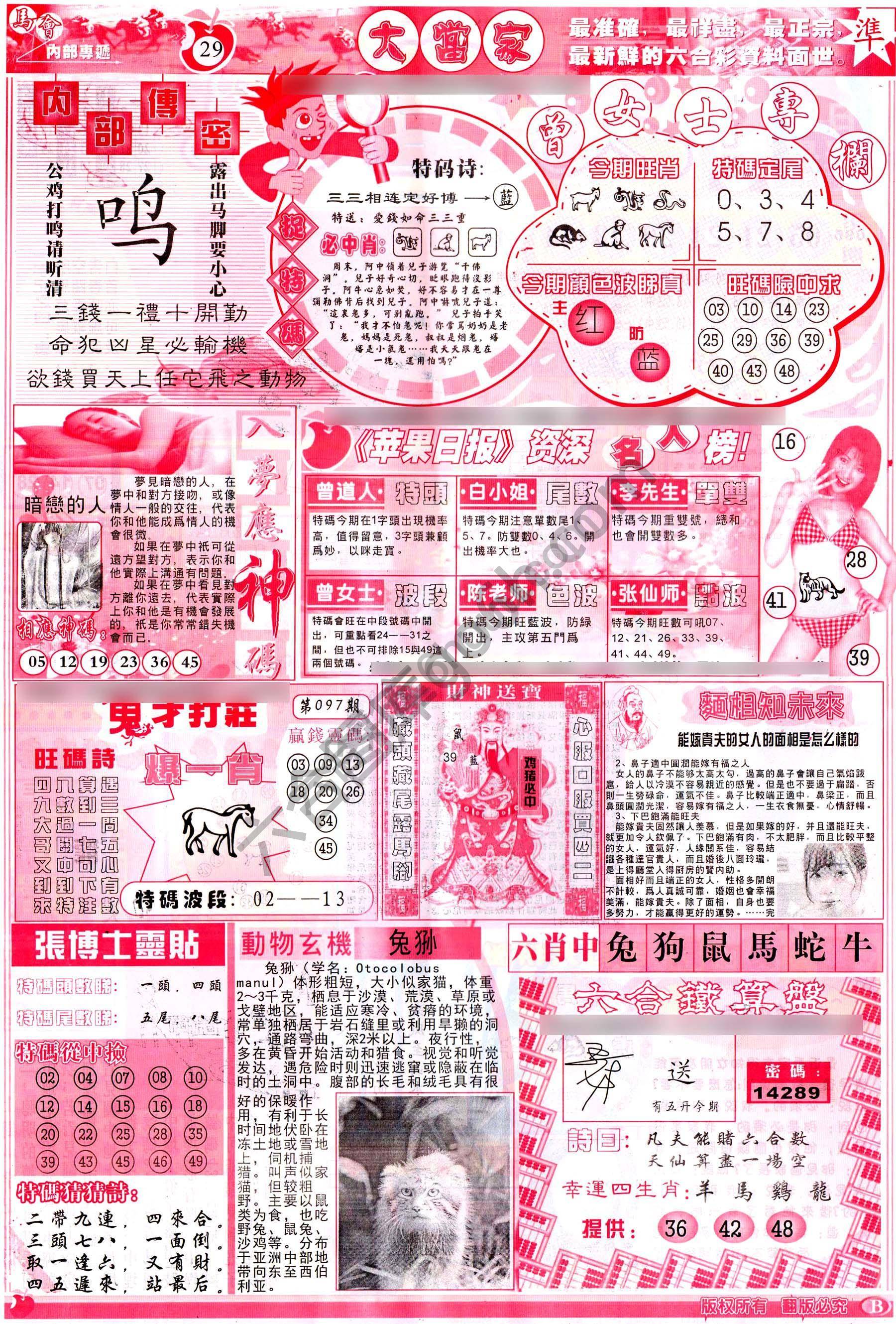 大当家