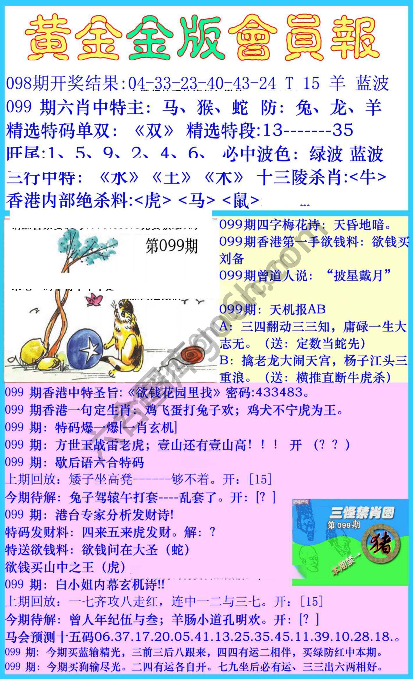 黄金金版会员报