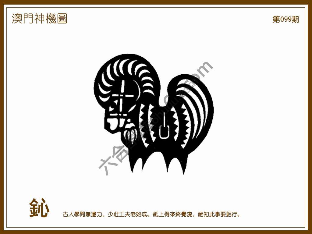 澳门神机图