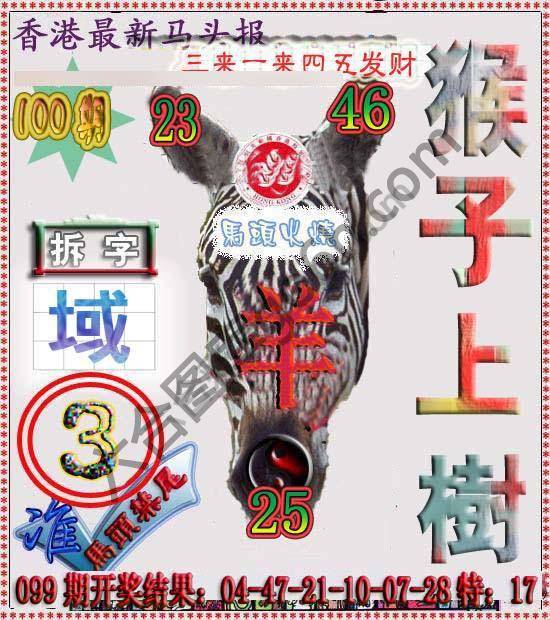 香港马头报