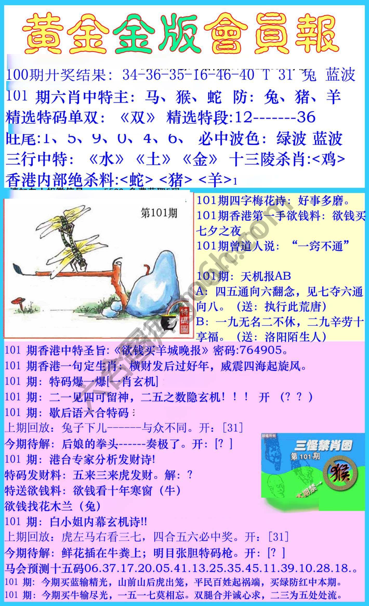 黄金金版会员报
