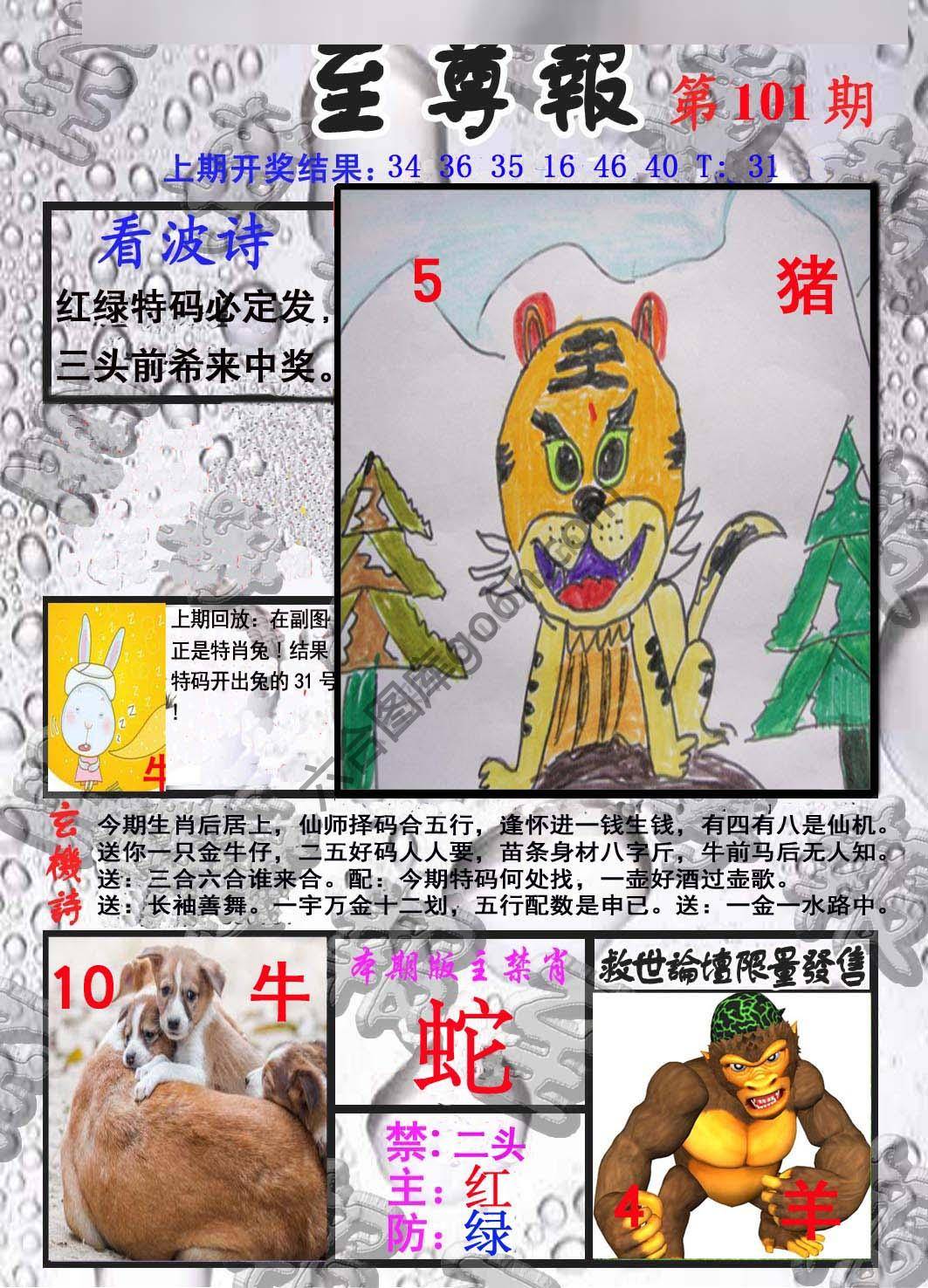 至尊报