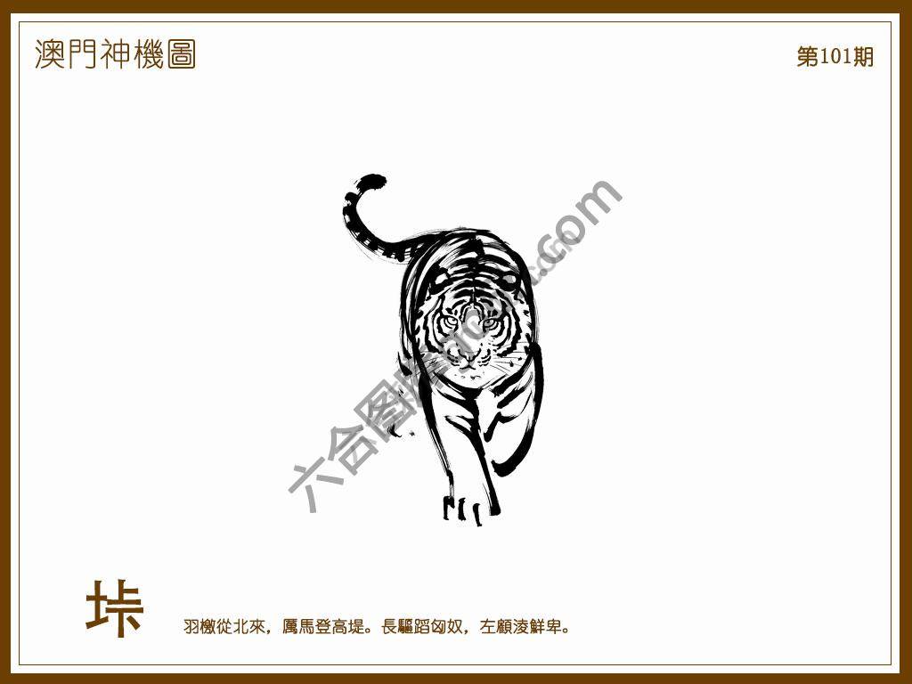 澳门神机图