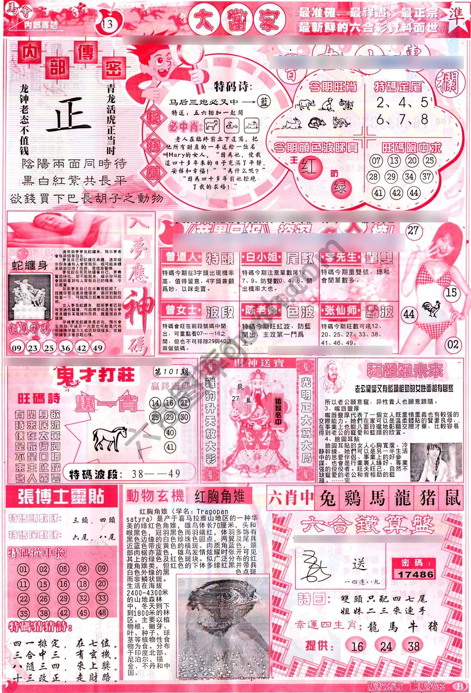 大当家