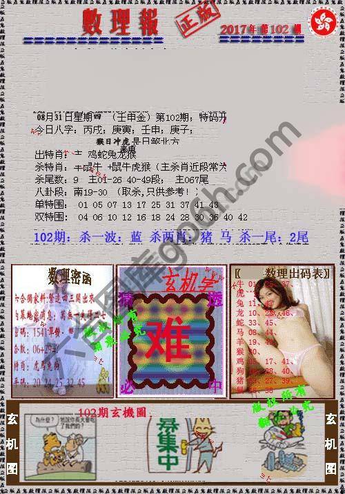 数理报
