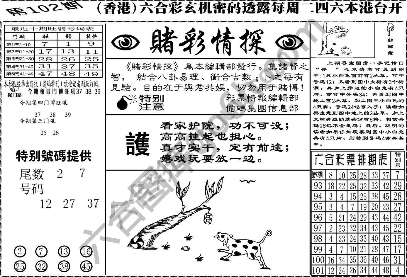 赌彩情探