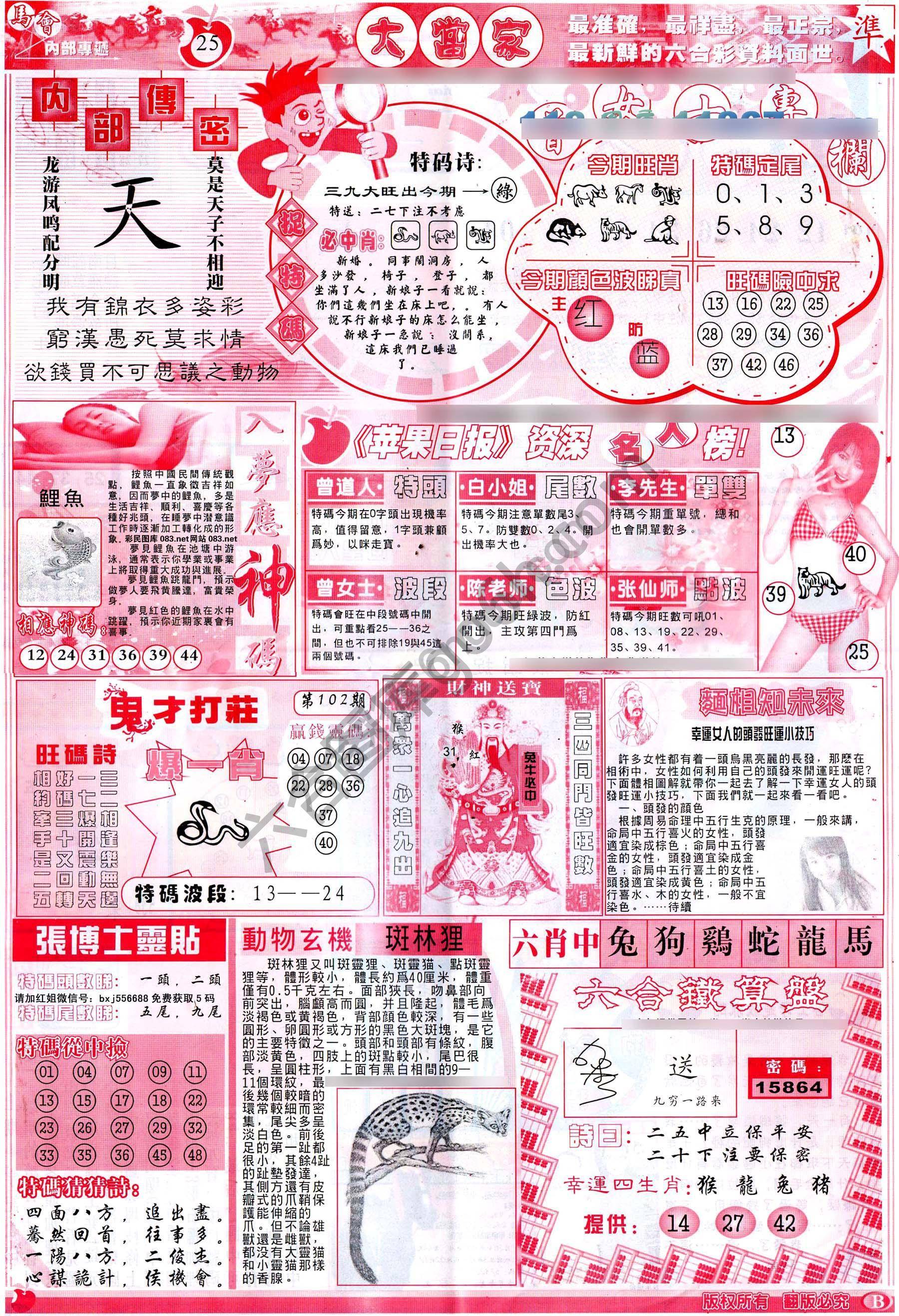 大当家