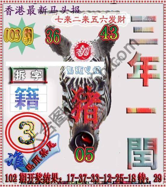 香港马头报