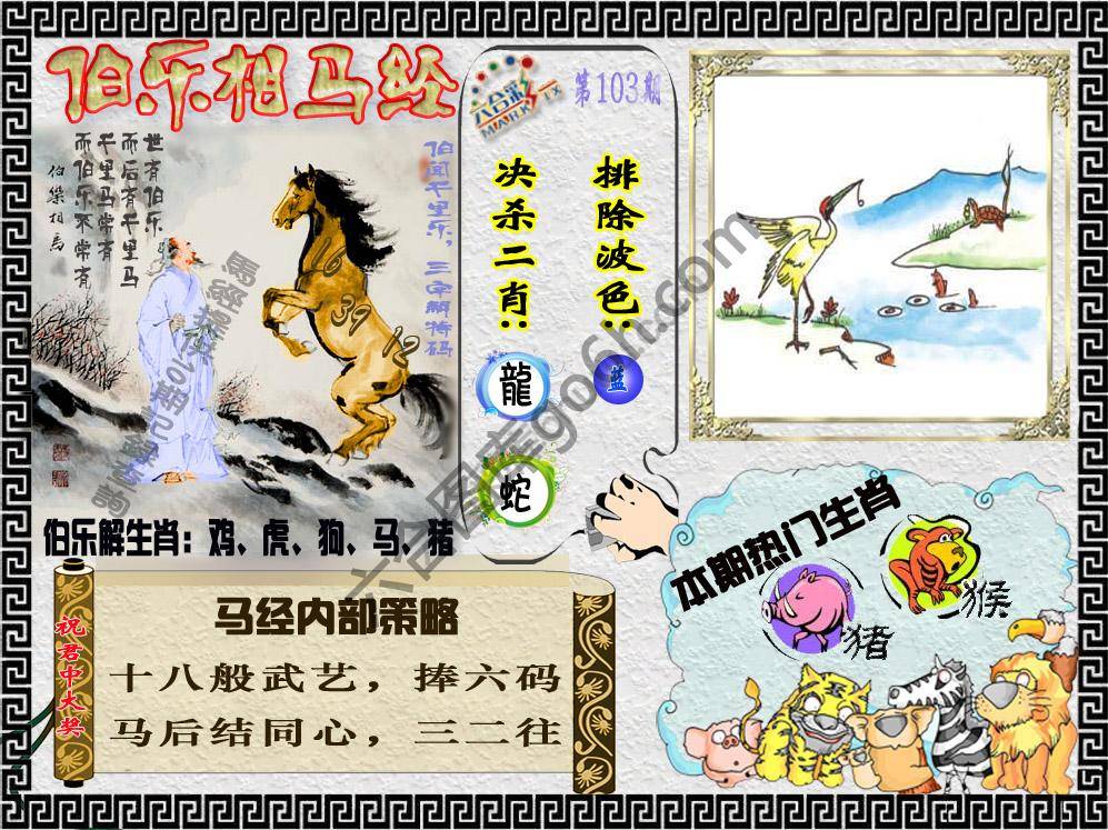 伯乐相马经